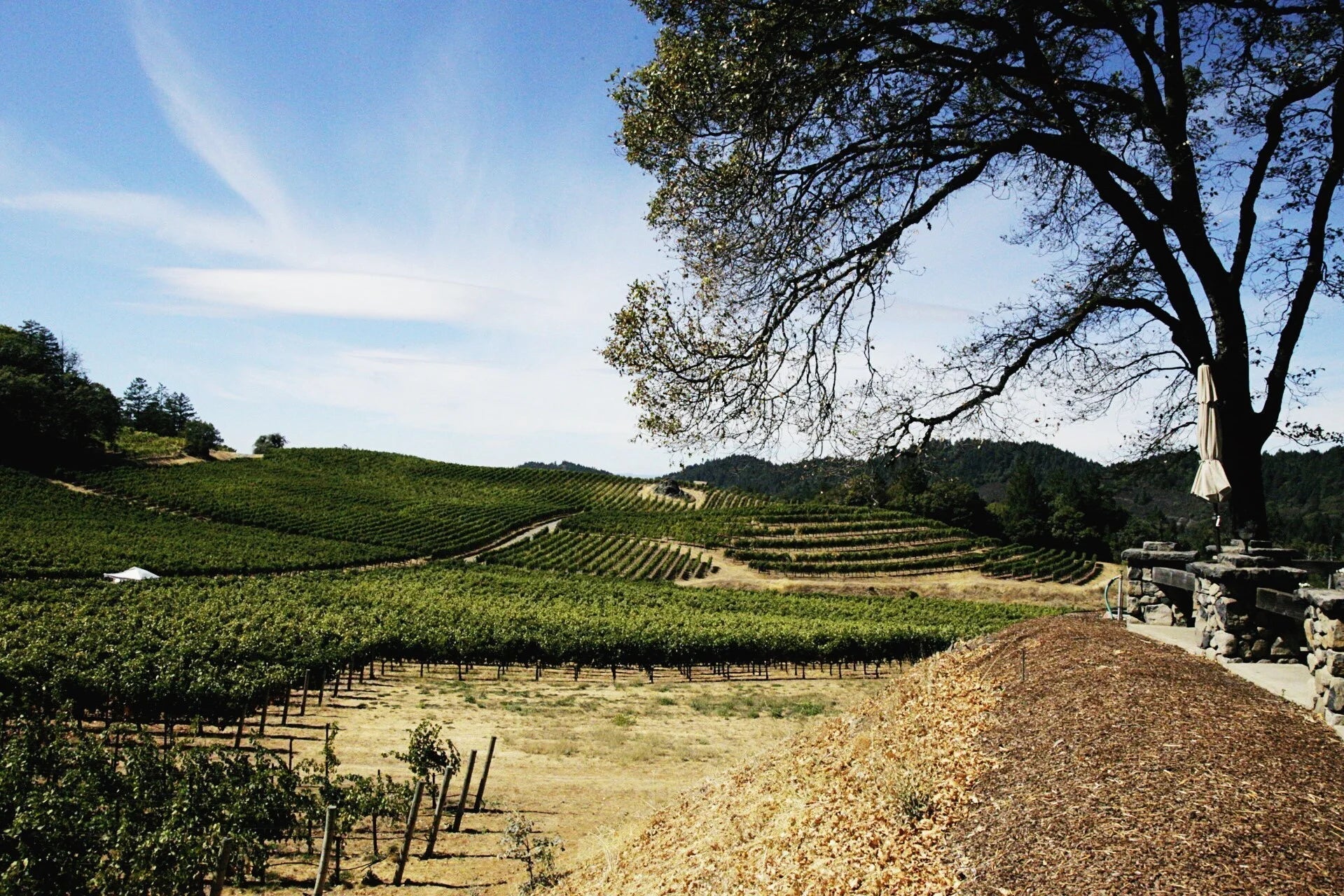 From Spring Break Skeptic to Wine Enthusiast: How One University Student Discovered the Ultimate Networking Skill