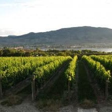 Okanagan Valley – Wines of British Columbia