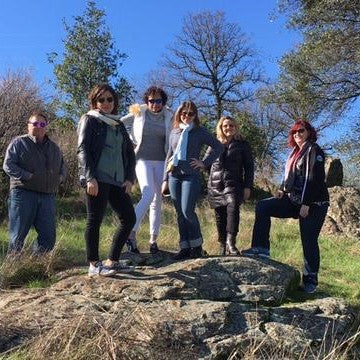 SFWS Team Retreat in Murphys, CA!