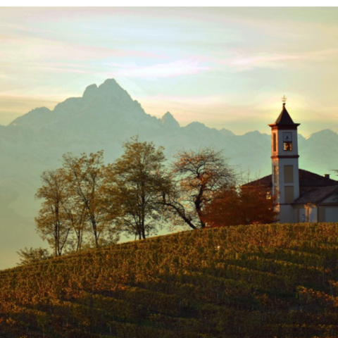 Discover Piemonte's Real Roero