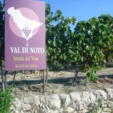 Sicily’s Noble Red – Nero d’Avola