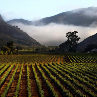 THE DOTS ON THE MAP ON THE WALL "The First Dot" (An intern story) By Michelle R. Carlín - Part 2