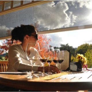 THE DOTS ON THE MAP ON THE WALL "A Dream of Lavender Fields" (An intern story) By Michelle R. Carlín - Part 1