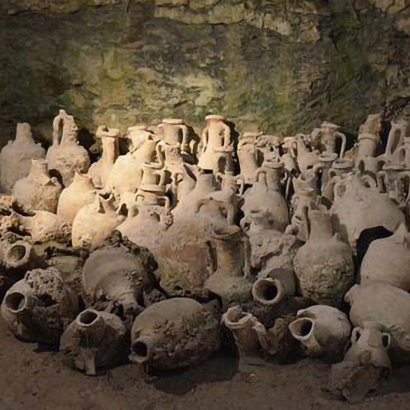 Explore the Cradle of Wine Civilization: March 13, San Francisco
