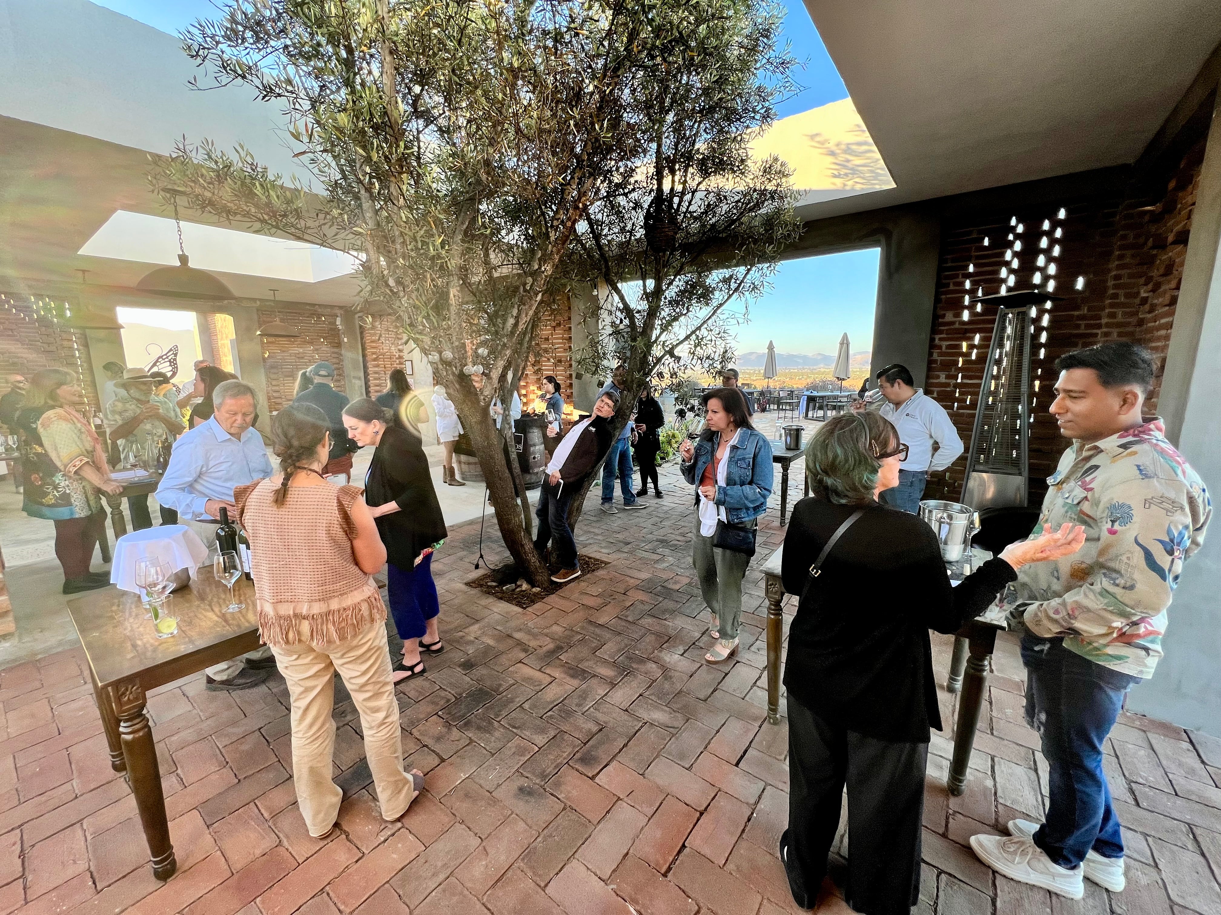 2026 SUMMER WINE ROAD TRIP: Valle de Guadalupe