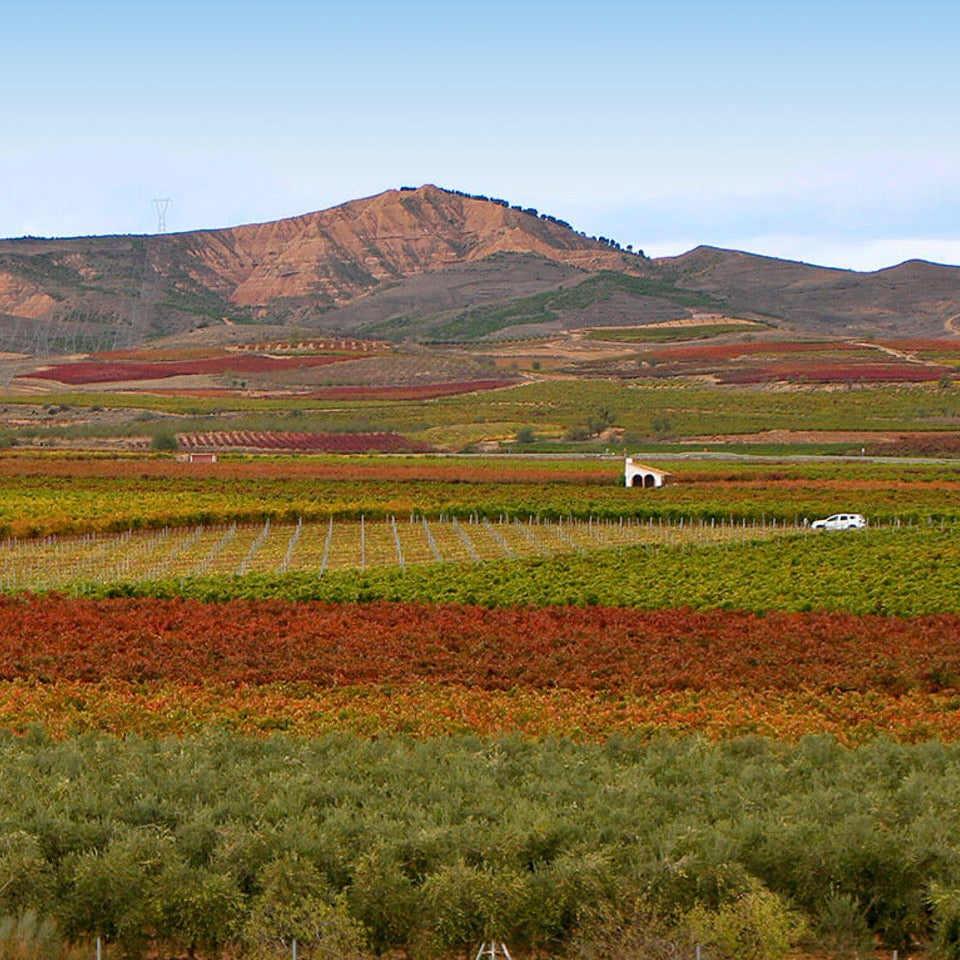 Spanish Wine Essentials Certificate Program