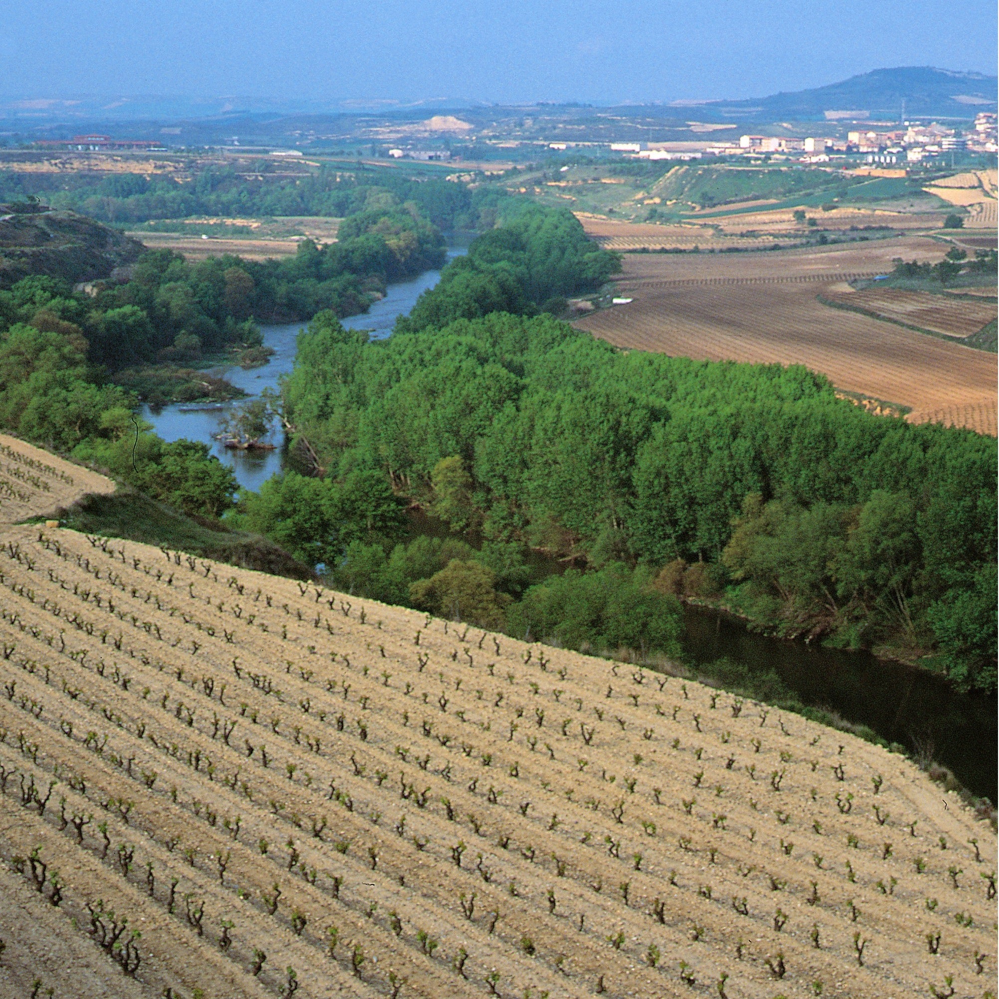 Spanish Wine Essentials Certificate Program