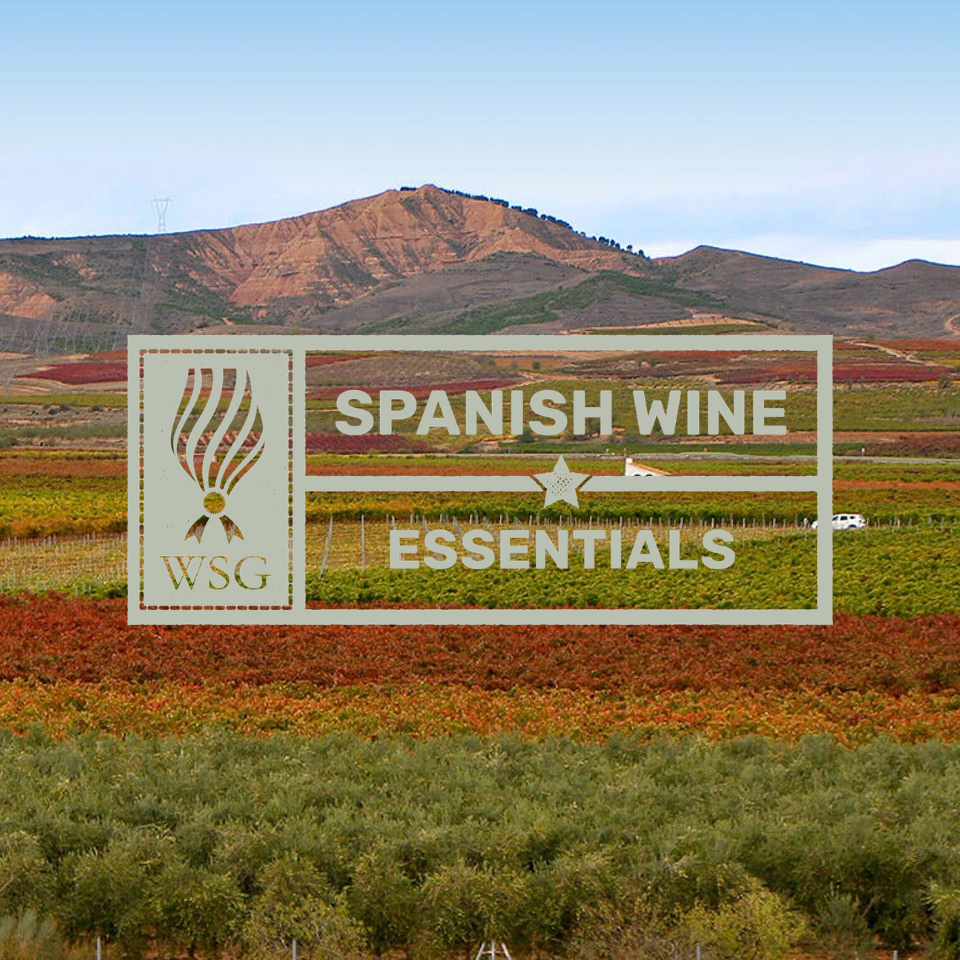 Spanish Wine Essentials from the wine scholar guild