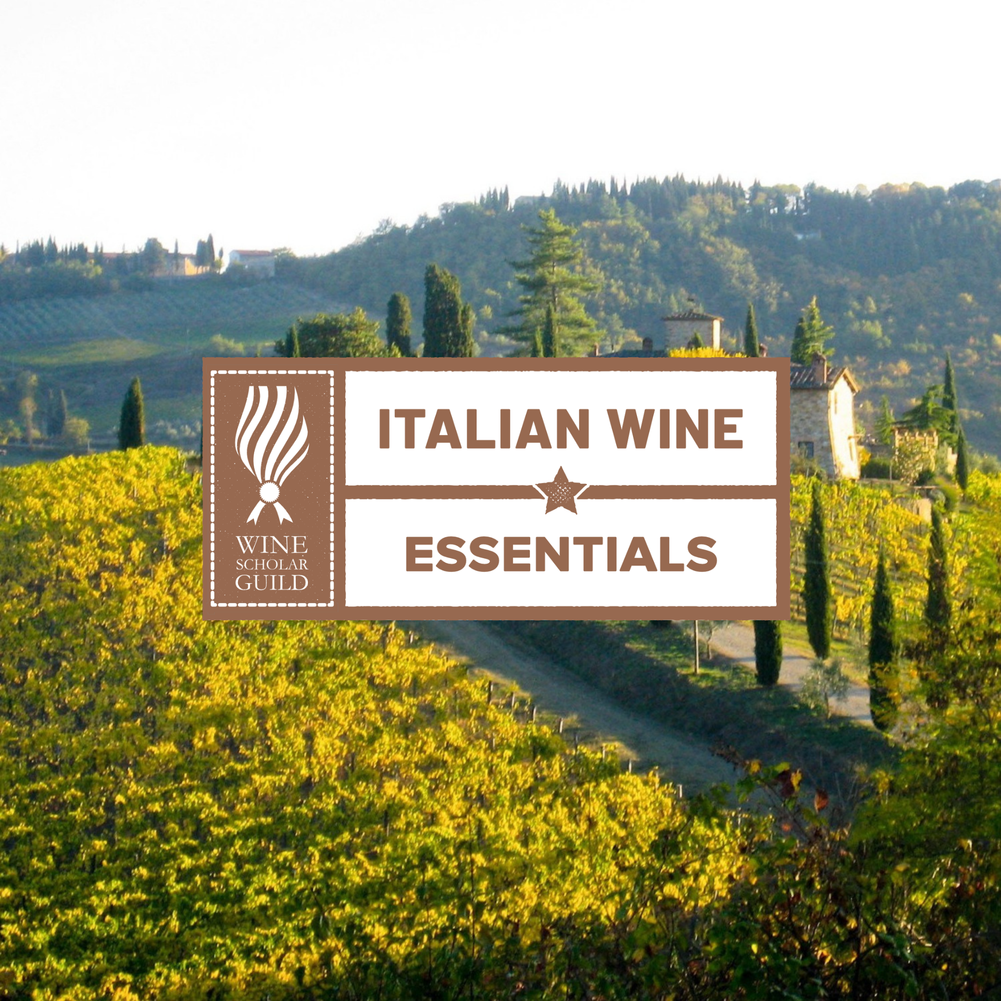 Italian Wine Essentials Certificate Program