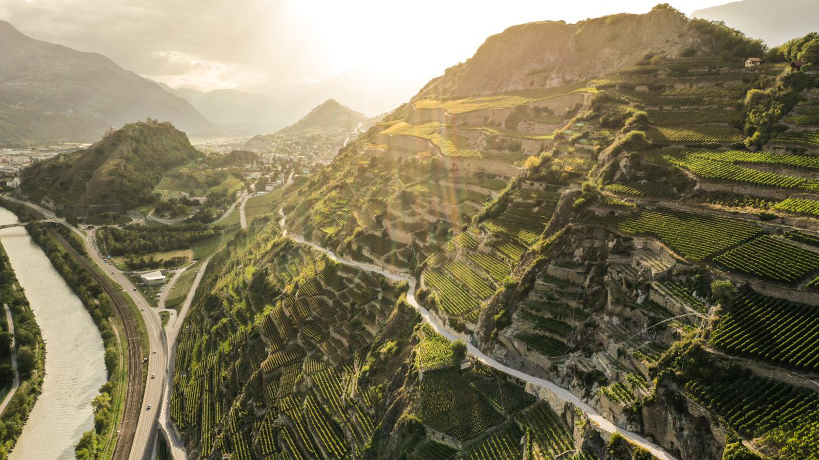 Masterclass: Intro to Swiss Wines - Taste the Alps