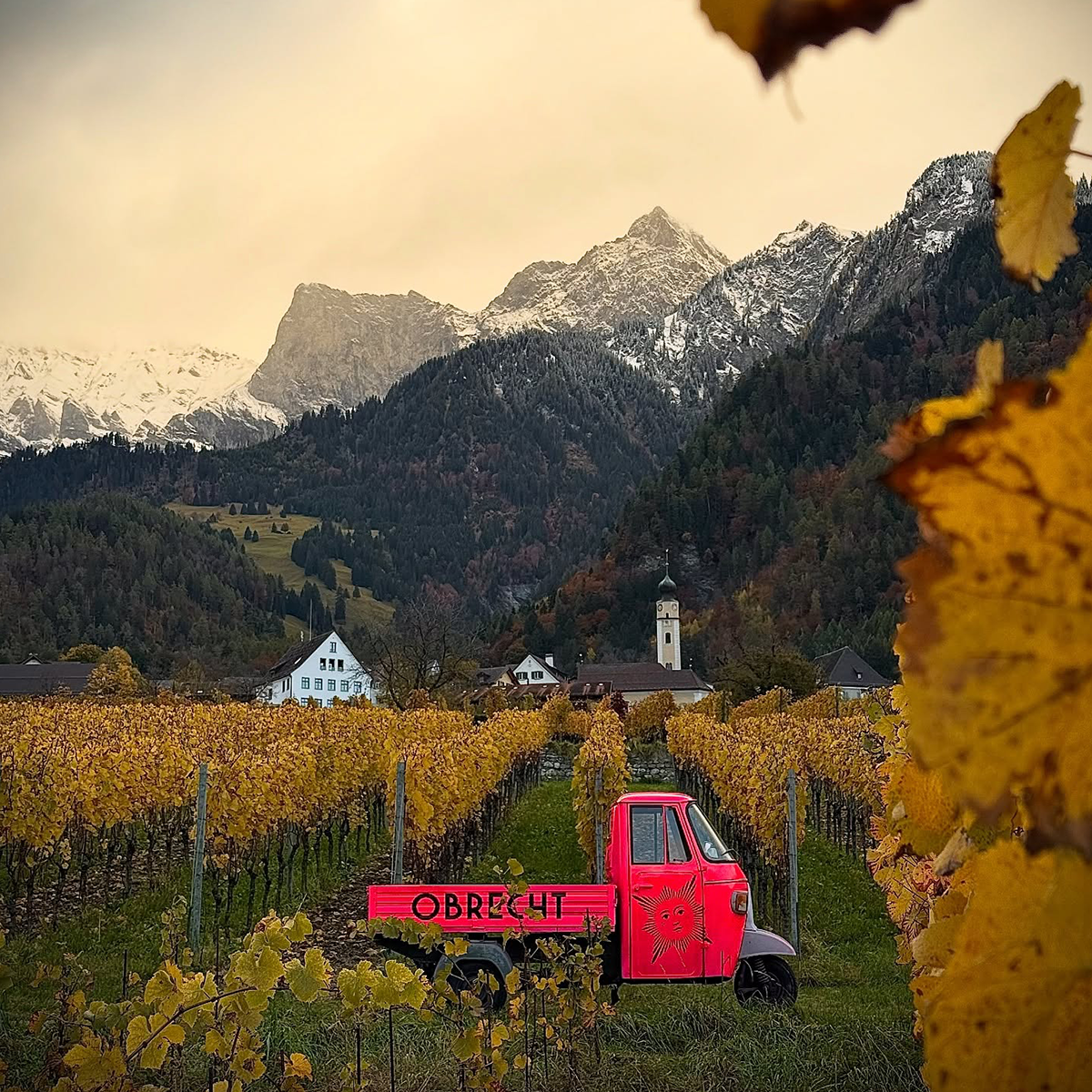 Masterclass: Intro to Swiss Wines - Taste the Alps