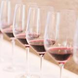 Four glasses of wine prepared for blind tasting exercises in the Conclusions & Testing Techniques course.