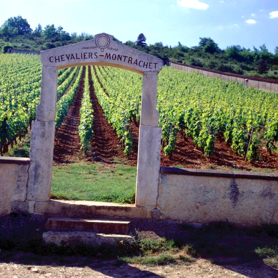 Burgundy's Cote d'Or