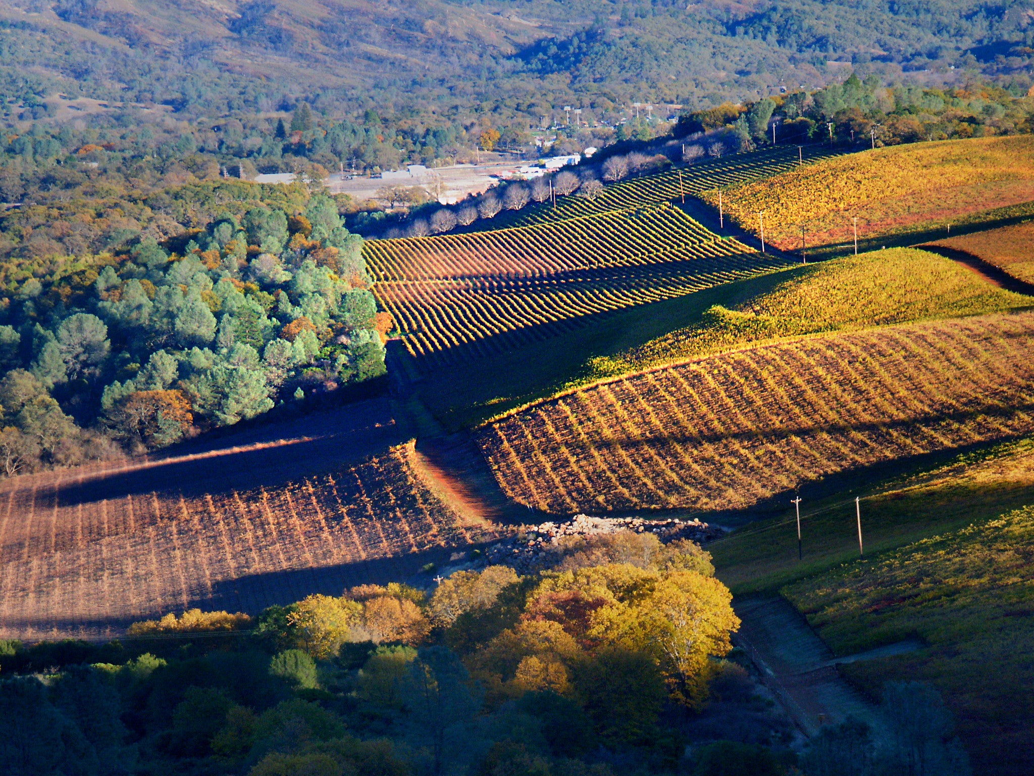 Wines of Lake County & The Sierra