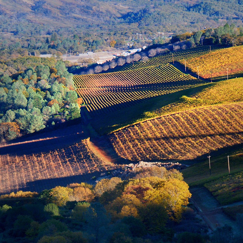 Intro to California Wine