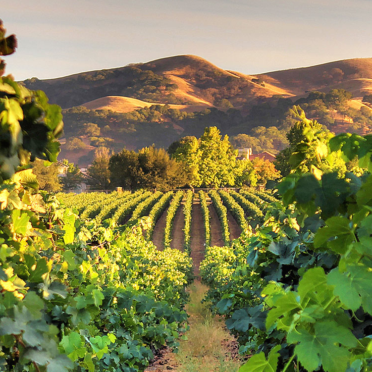 Santa Cruz, Livermore & Lodi