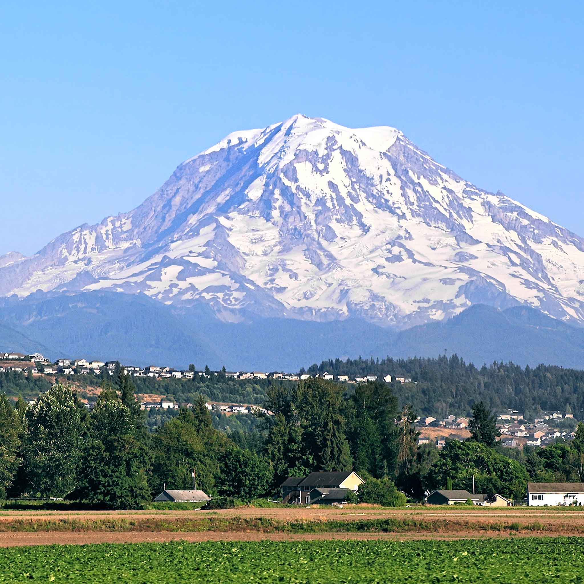 Snowcapped Mount Rainier overlooking vineyards and farmland, representing the wine regions and wines of Washington State.