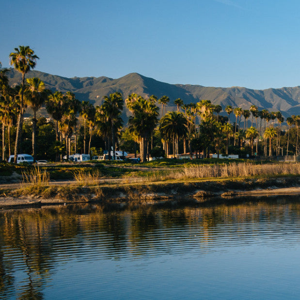 Wines of Santa Barbara & Beyond