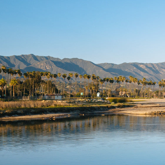 Wines of Santa Barbara & Beyond