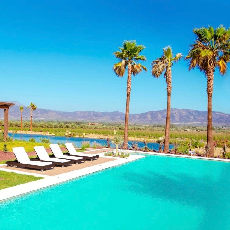 2026 SUMMER WINE ROAD TRIP: Valle de Guadalupe