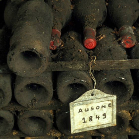 Wines of Bordeaux