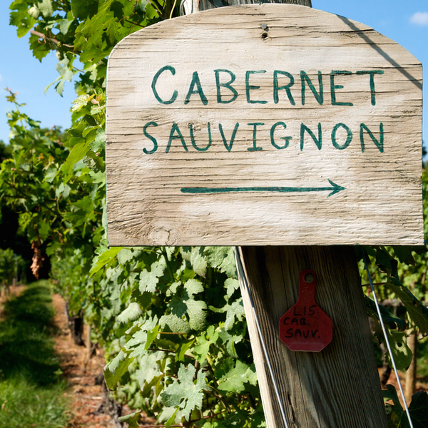 Cabernet Sauvignons of the World - A Blind Tasting Class