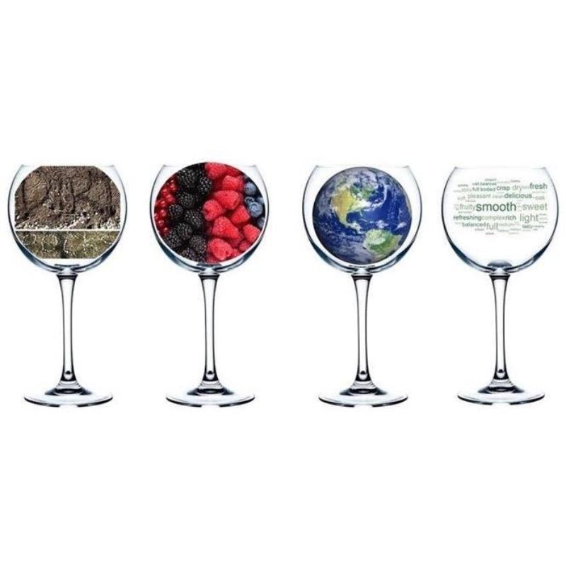 Explore the terrain, minerality, location, and tasting words while attending Wine 101 with San Francisco Wine School.