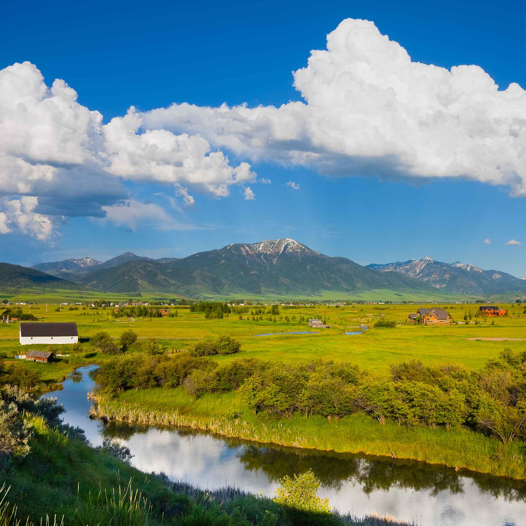 Wines of Idaho and British Columbia