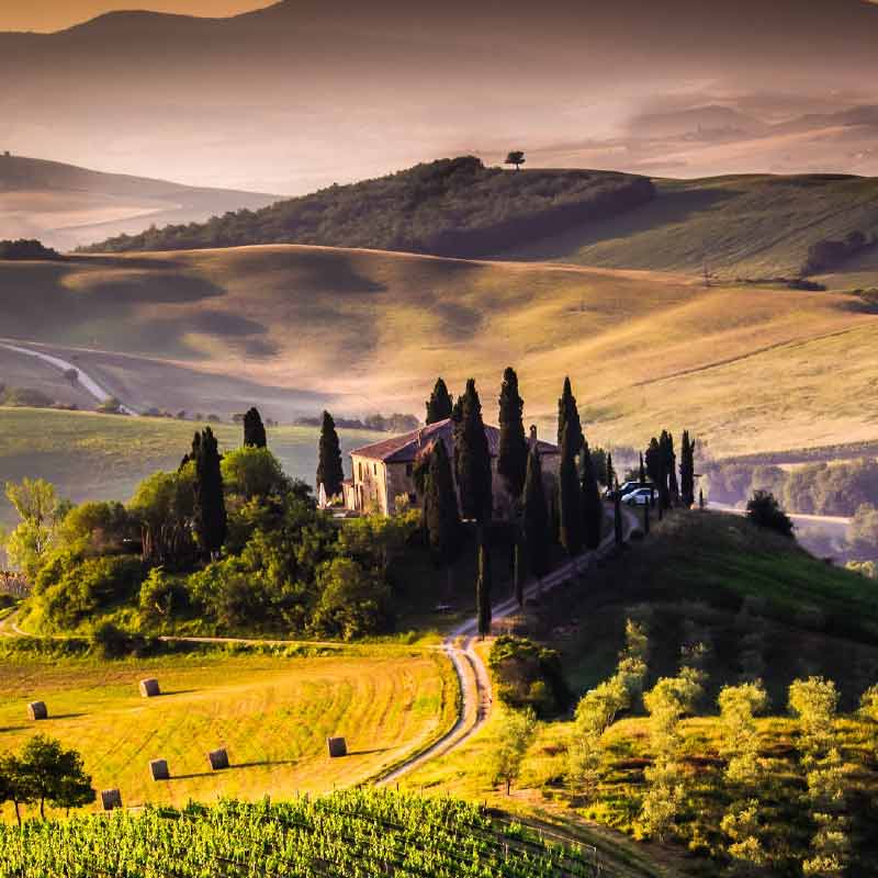 Scenic vineyard landscape in Tuscany, featured in the Tuscan Wines class at San Francisco Wine School.