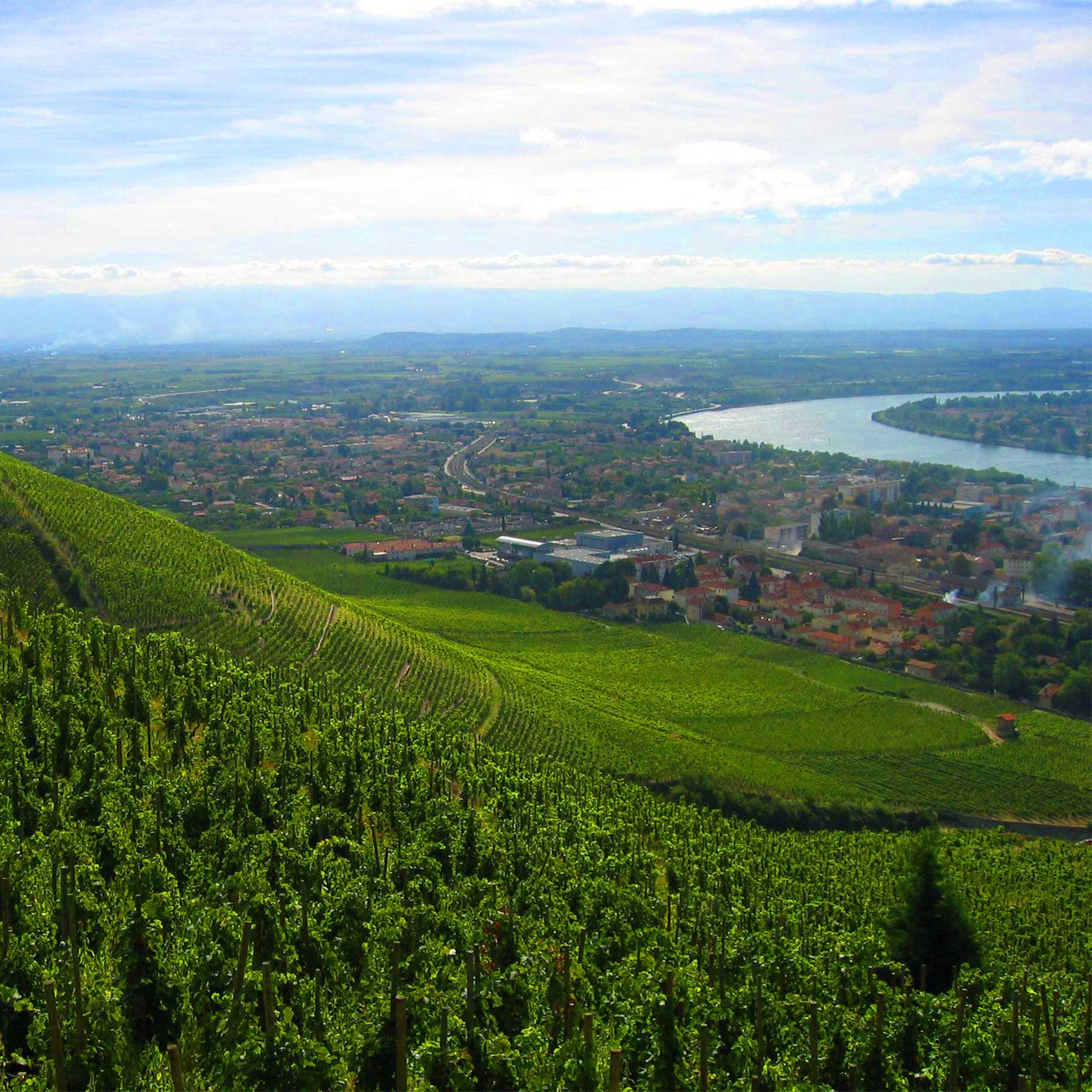 Rhone Valley