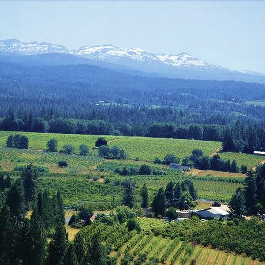 Wines of Lake County & The Sierra