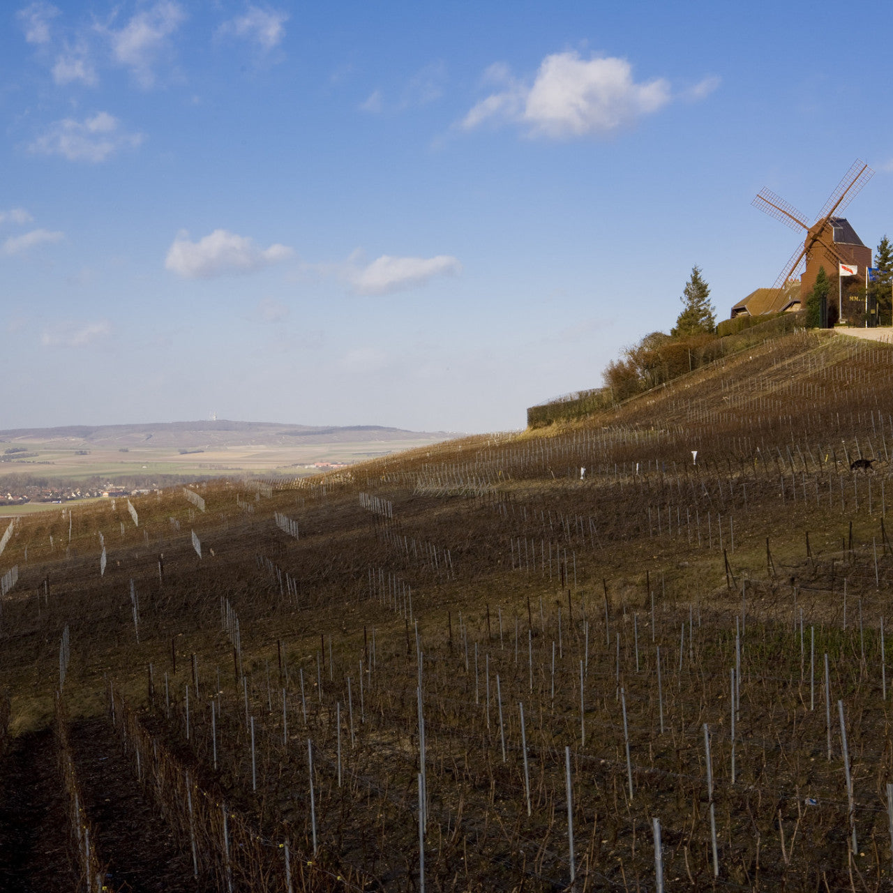 Wines of Northern France