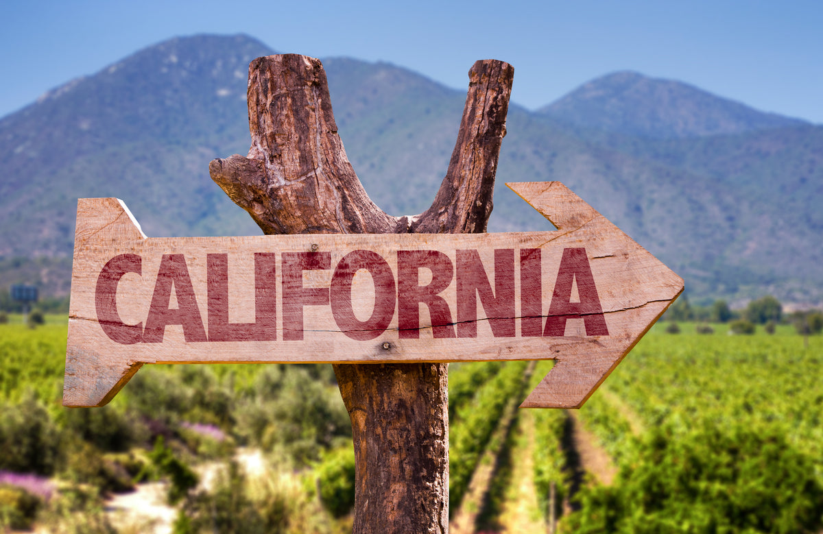 Exploring Wine Regions Of California San Francisco Wine School