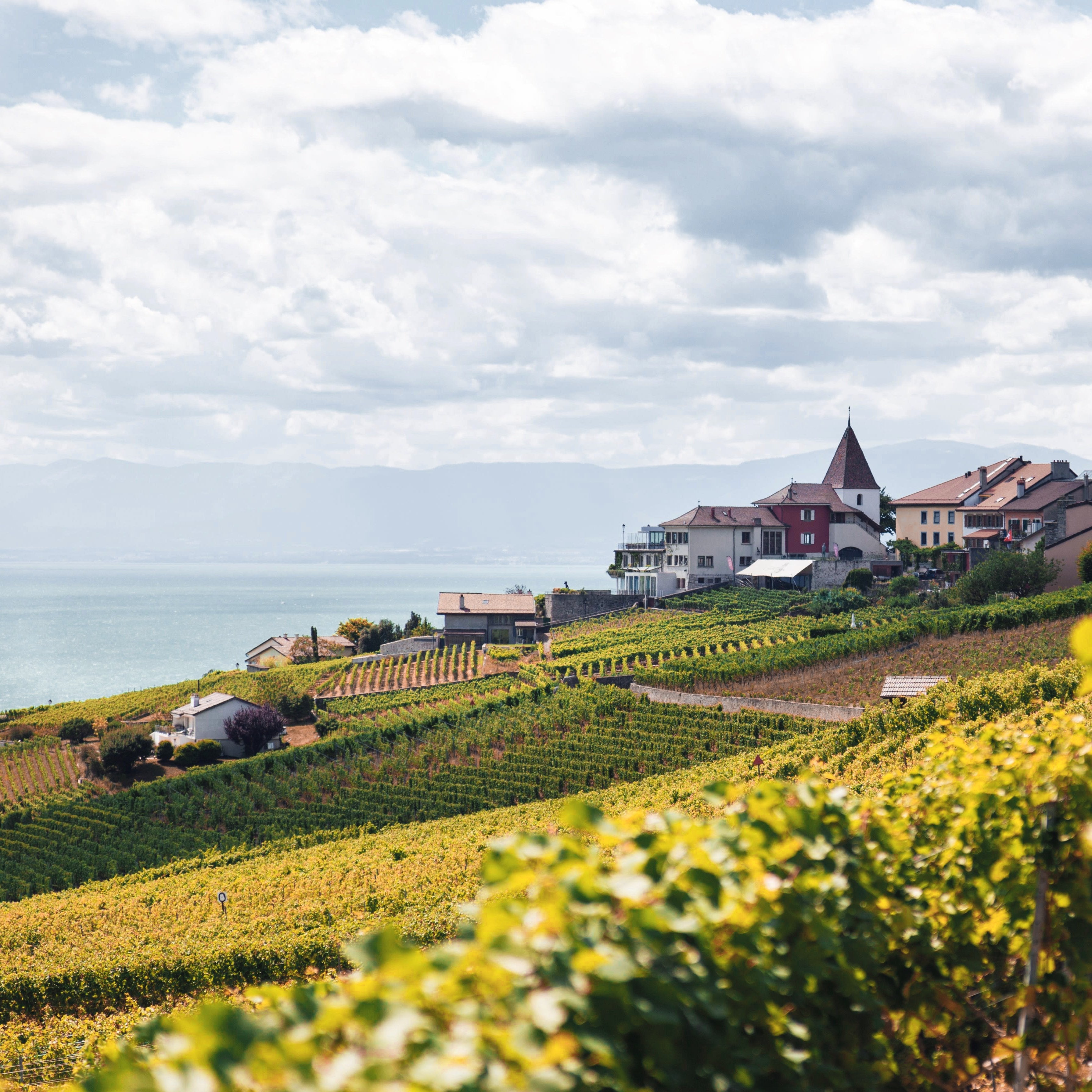 French Countryside Photo by Dino Reichmuth