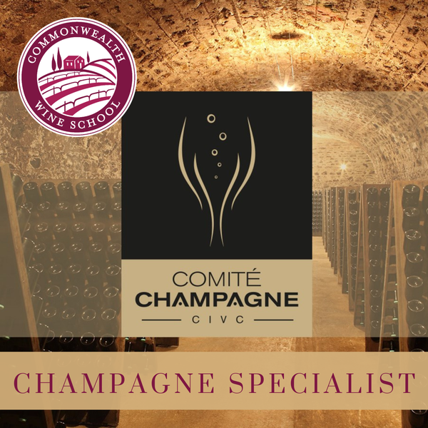 Champagne Specialist: Understanding and Recommending Champagne