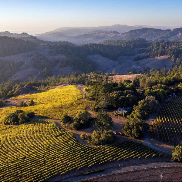 Aerial view of Cobb vineyards and hills in a hilly landscape of Sonoma Coast