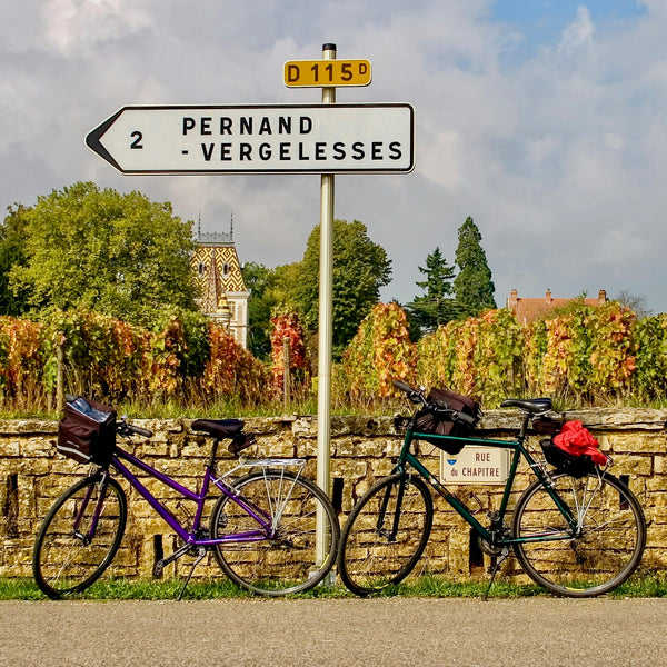 French Wine Scholar Program - Discover the Wine Regions of France