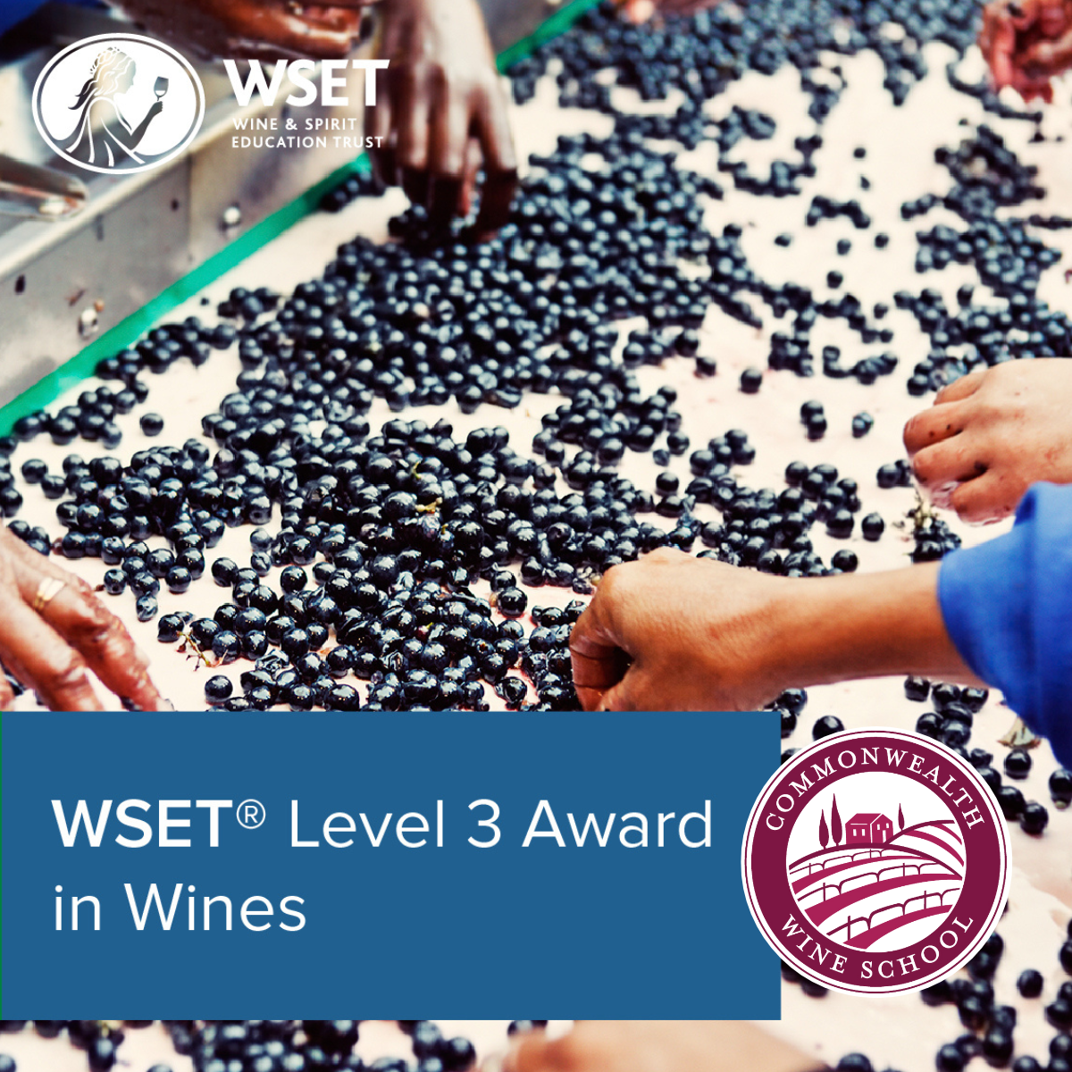 WSET Level 3 by Commonwealth Wine School - Advanced Certification Program