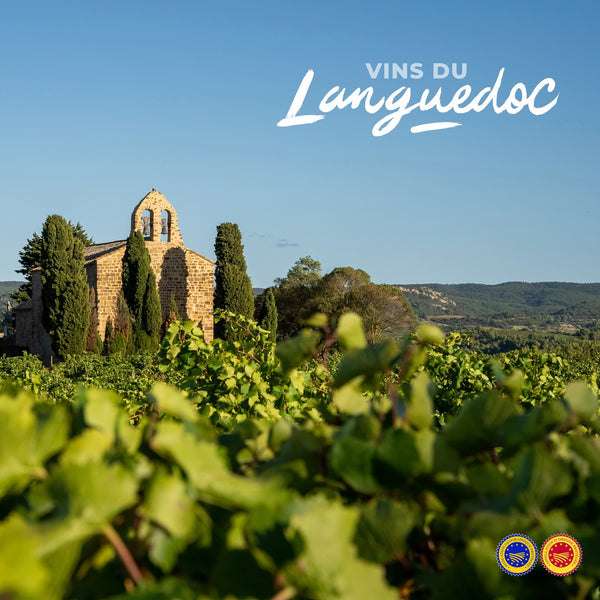 Vins du Languedoc Masterclass & Tasting Reception - For Qualified Trade, Media, Students Only*