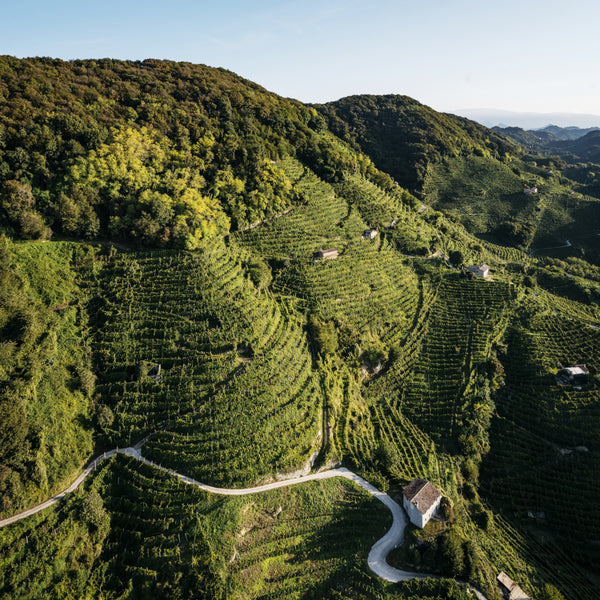 Conegliano Valdobbiadene Prosecco Superiore DOCG Masterclass