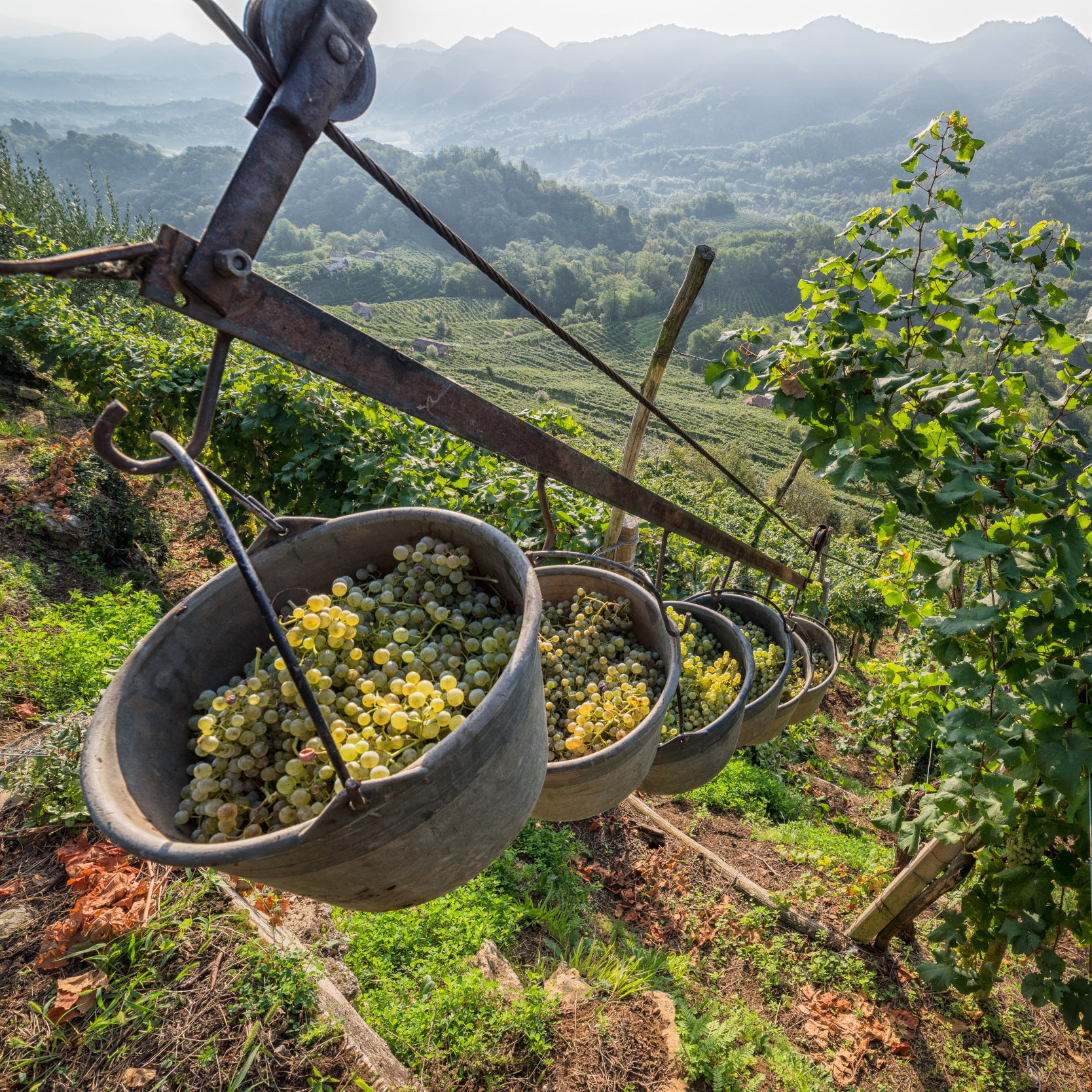 Conegliano Valdobbiadene Prosecco Superiore DOCG Masterclass