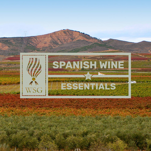 Spanish Wine Essentials from the wine scholar guild