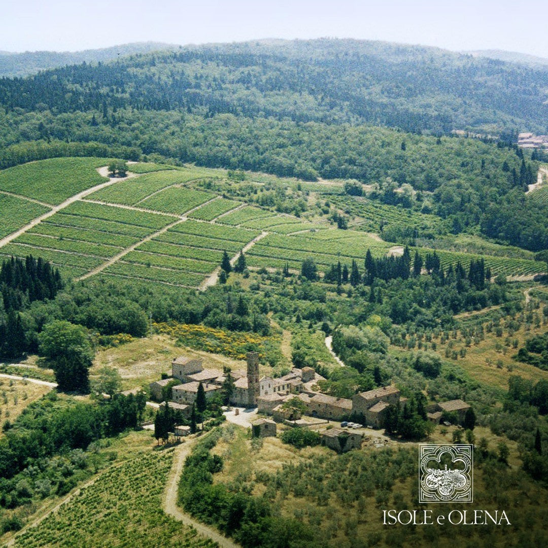 Tuscany Masterclass w/ Isole e Olena’s Emanuele Reolon