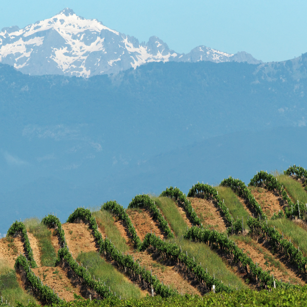 Southwest France & Corsica