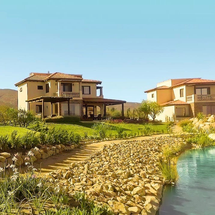 2026 SUMMER WINE ROAD TRIP: Valle de Guadalupe