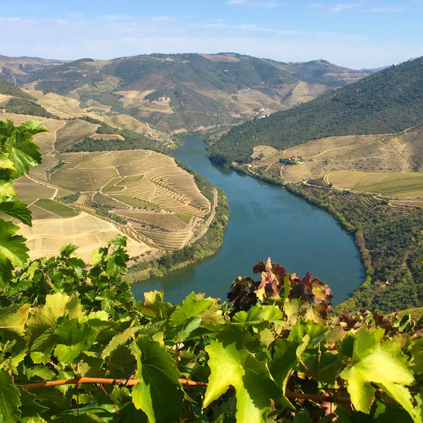 Wines of Portugal Part 1: From North to Central