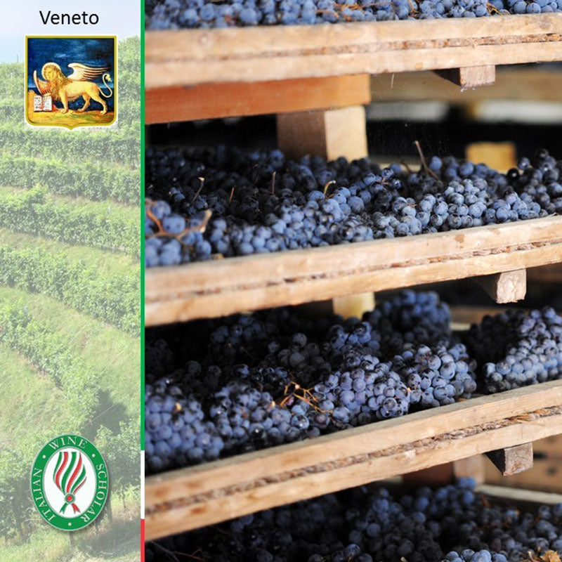 Wines of Veneto
