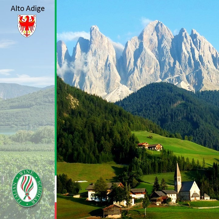 Wines of Trentino & Alto Adige