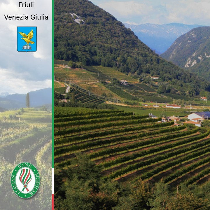Vineyard landscape in Italy’s Friuli-Venezia Giulia region showcased in the Wines of Friuli-Venezia Giulia course.