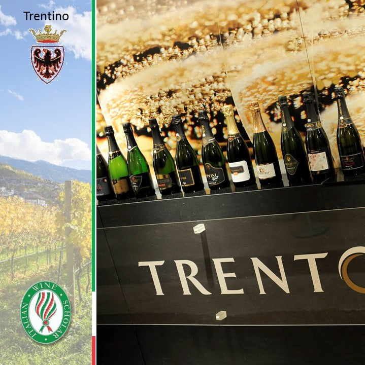 Wines of Trentino & Alto Adige